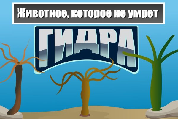 Кракен тор ссылка магазин