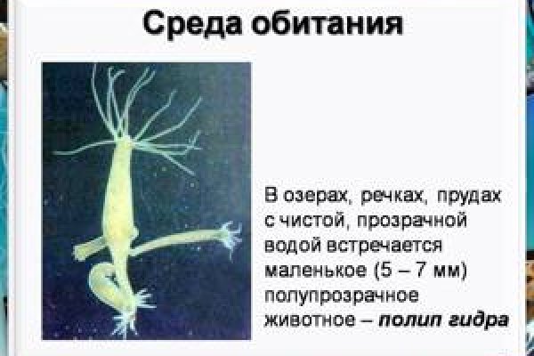 Кракен ссылка в тор