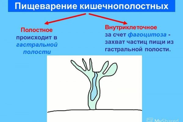 Какая комиссия кракен маркетплейс