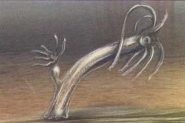 Kra9.at
